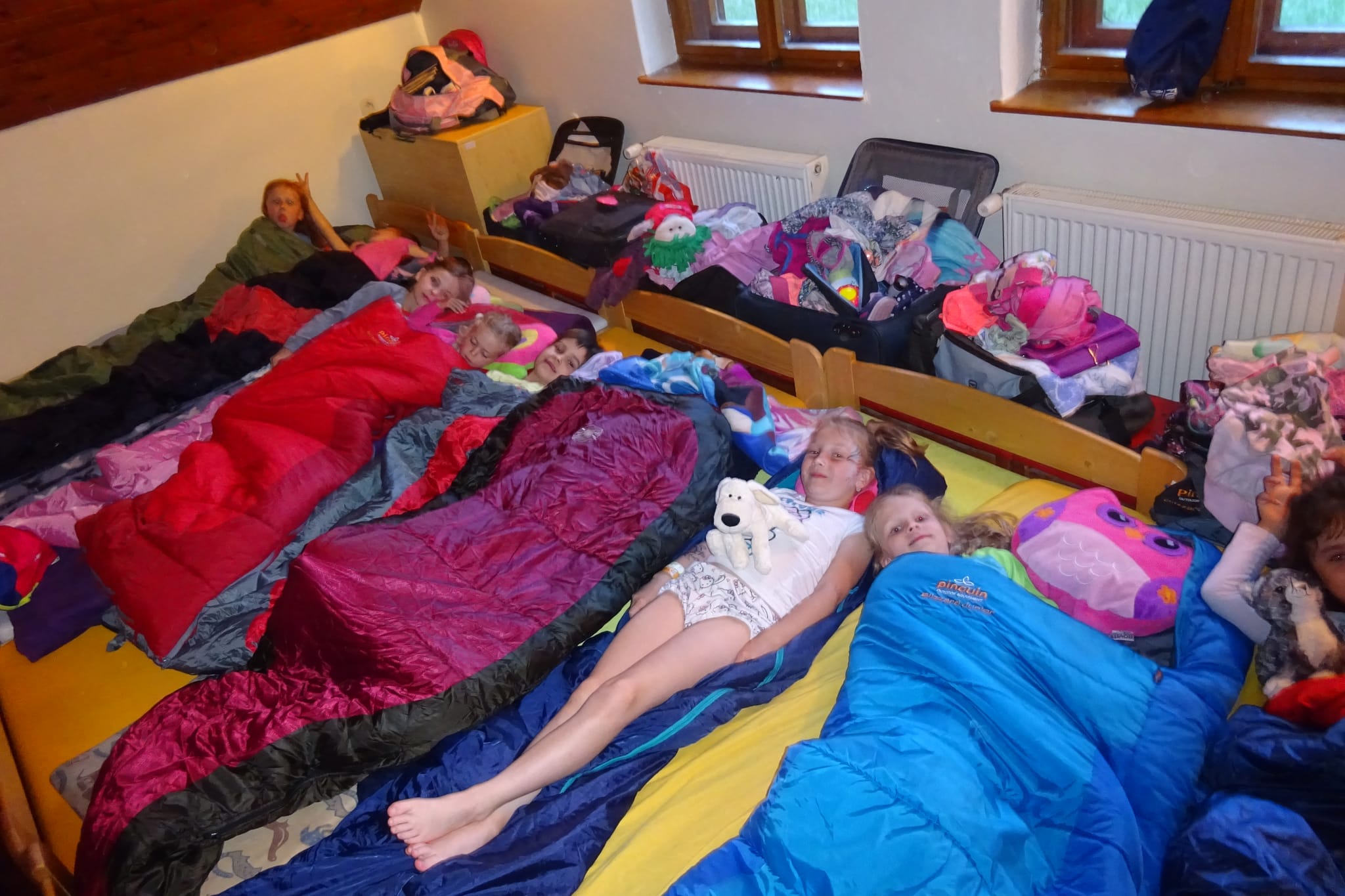 Nesytá - červen 2017