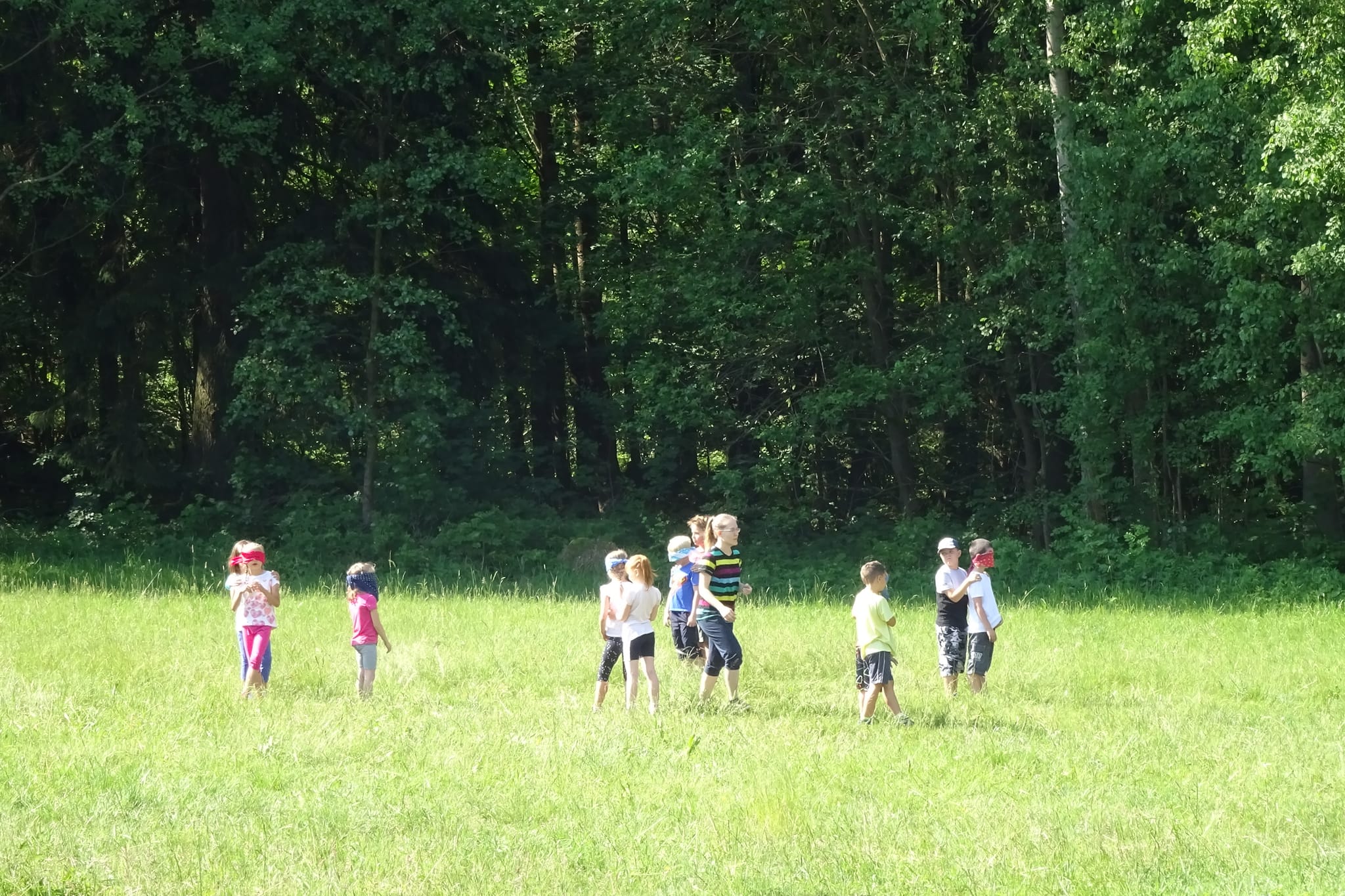 SOVIČKY Nesytá - květen 2018