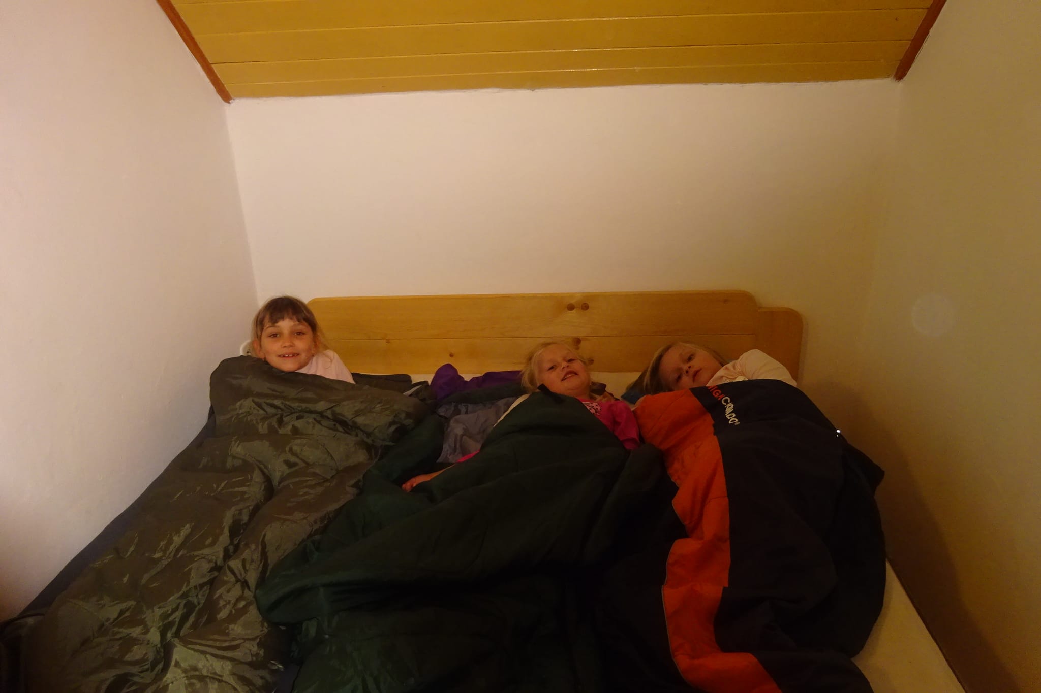 SOVIČKY Nesytá říjen 2019