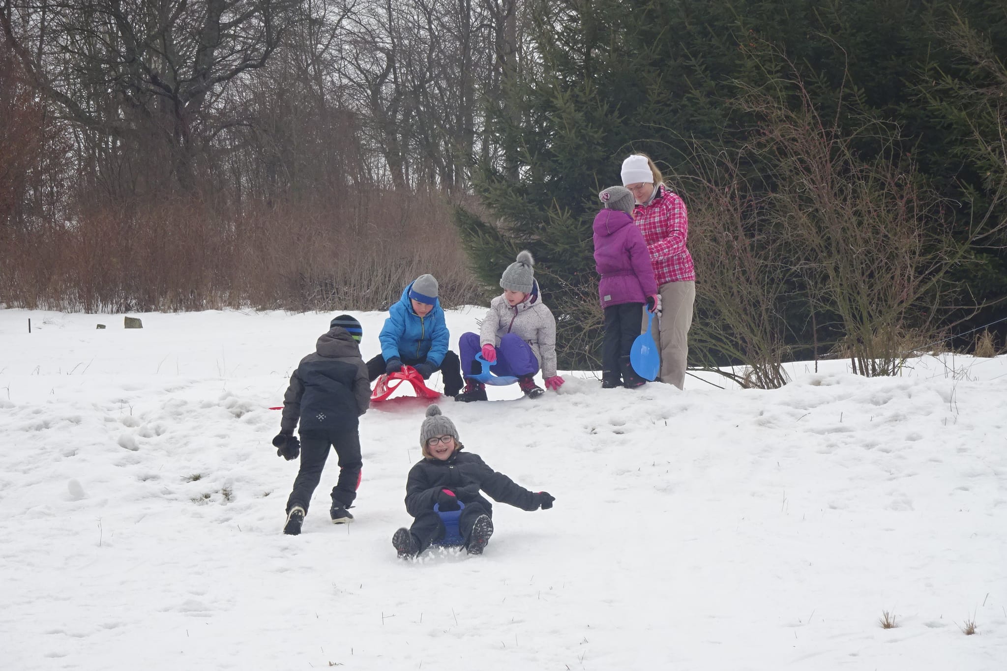 SOVIČKY Nesytá - únor 2019